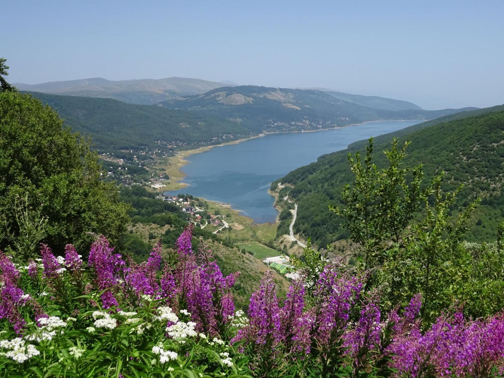 Forest View Apartment Mavrovo Zewnętrze zdjęcie